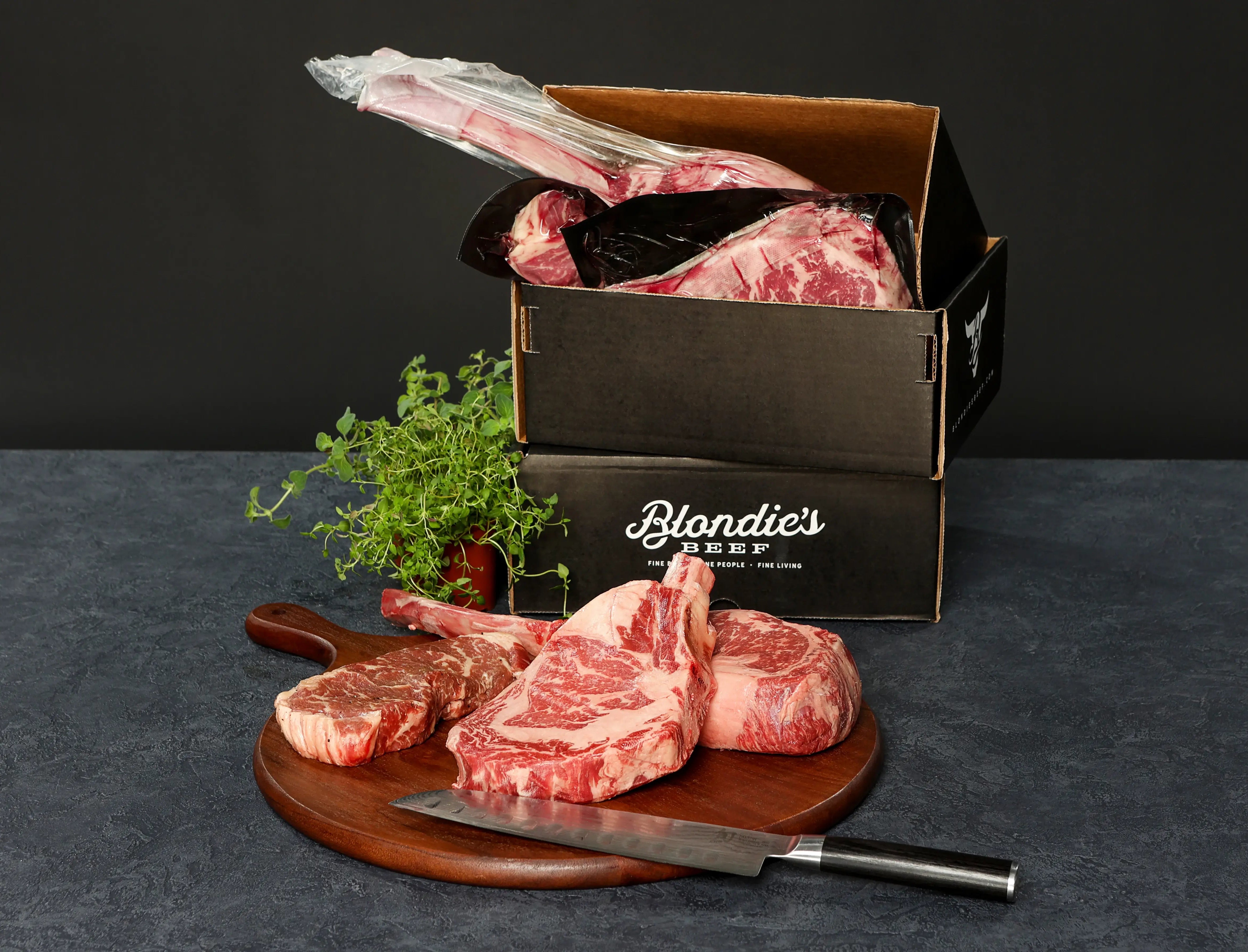 Carnivore Box